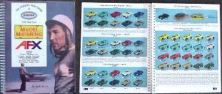 Bob Beer's Aurora book